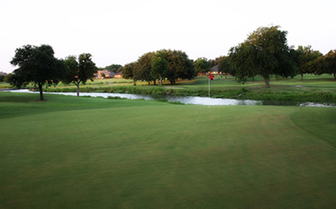 green with creek in the background